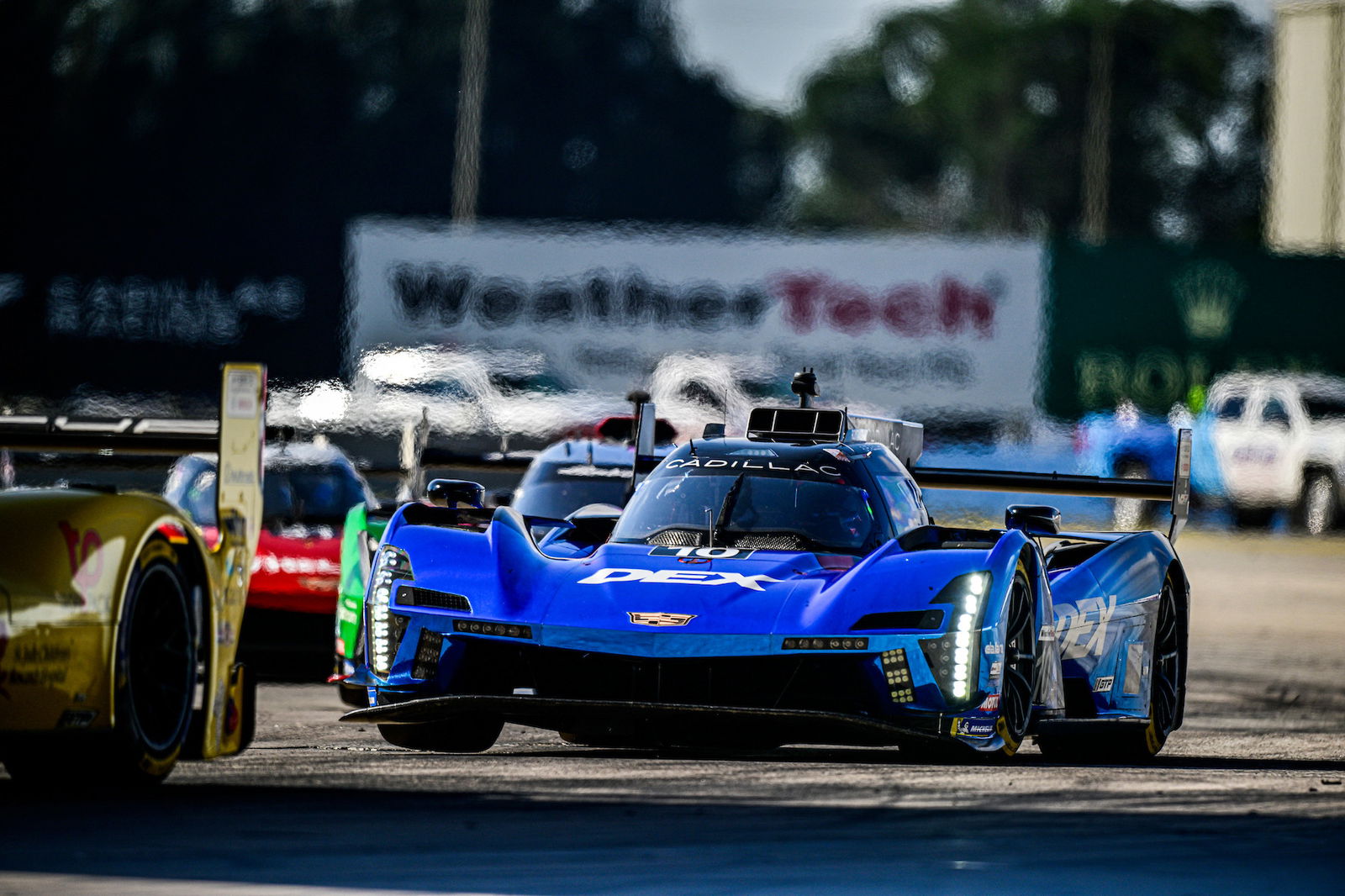 The #10 Wayne Taylor Racing Cadillac V-Series.R of Ricky Taylor, Filipe Albuquerque, Will Stevens. 