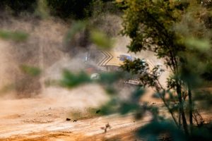 The White Wolf Racing Ford Fiesta R5.