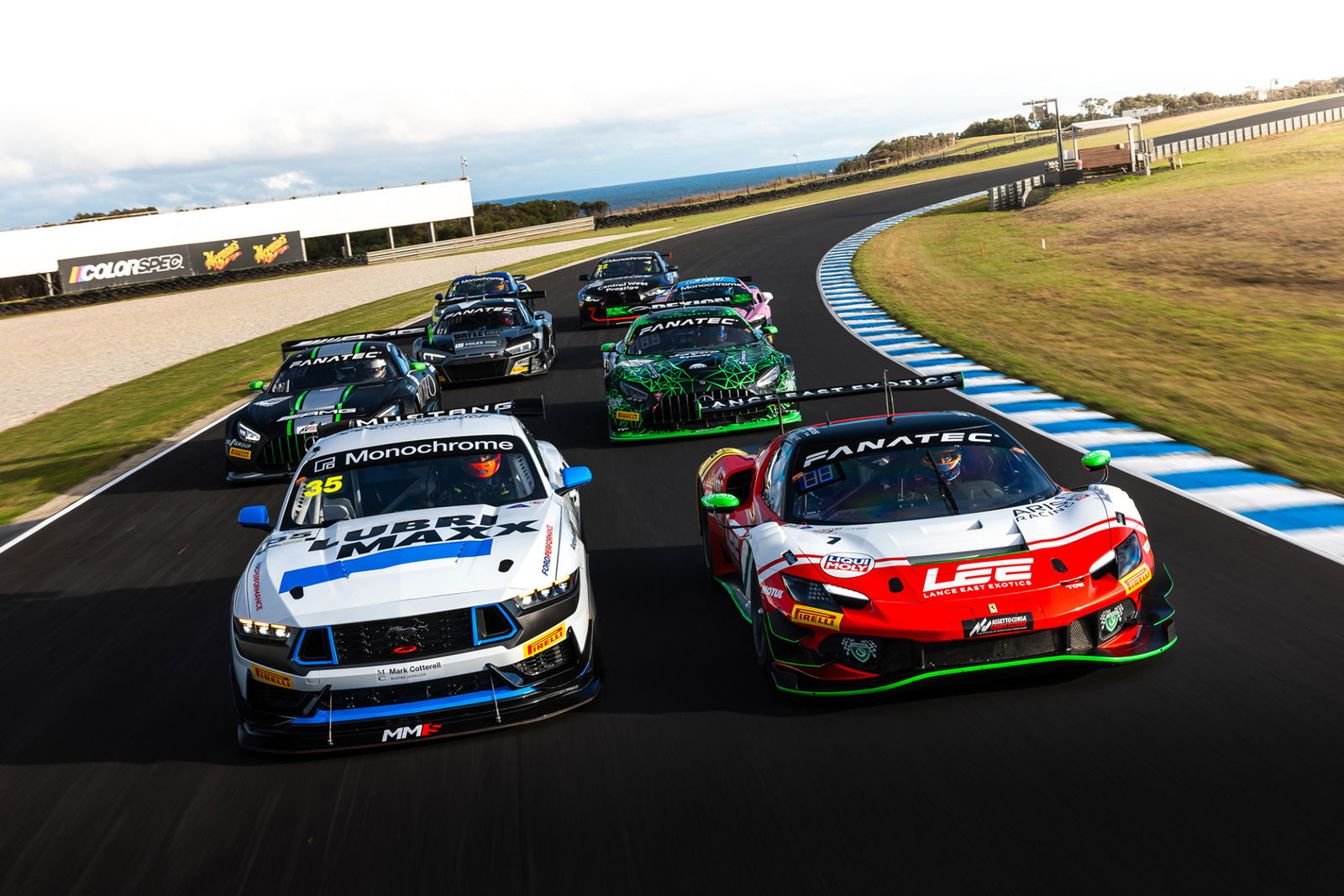A GT4 Ford Mustang and GT3 Ferrari at Phillip Island.